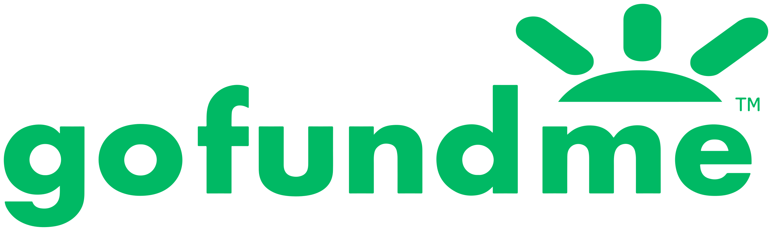 GoFundMe logo